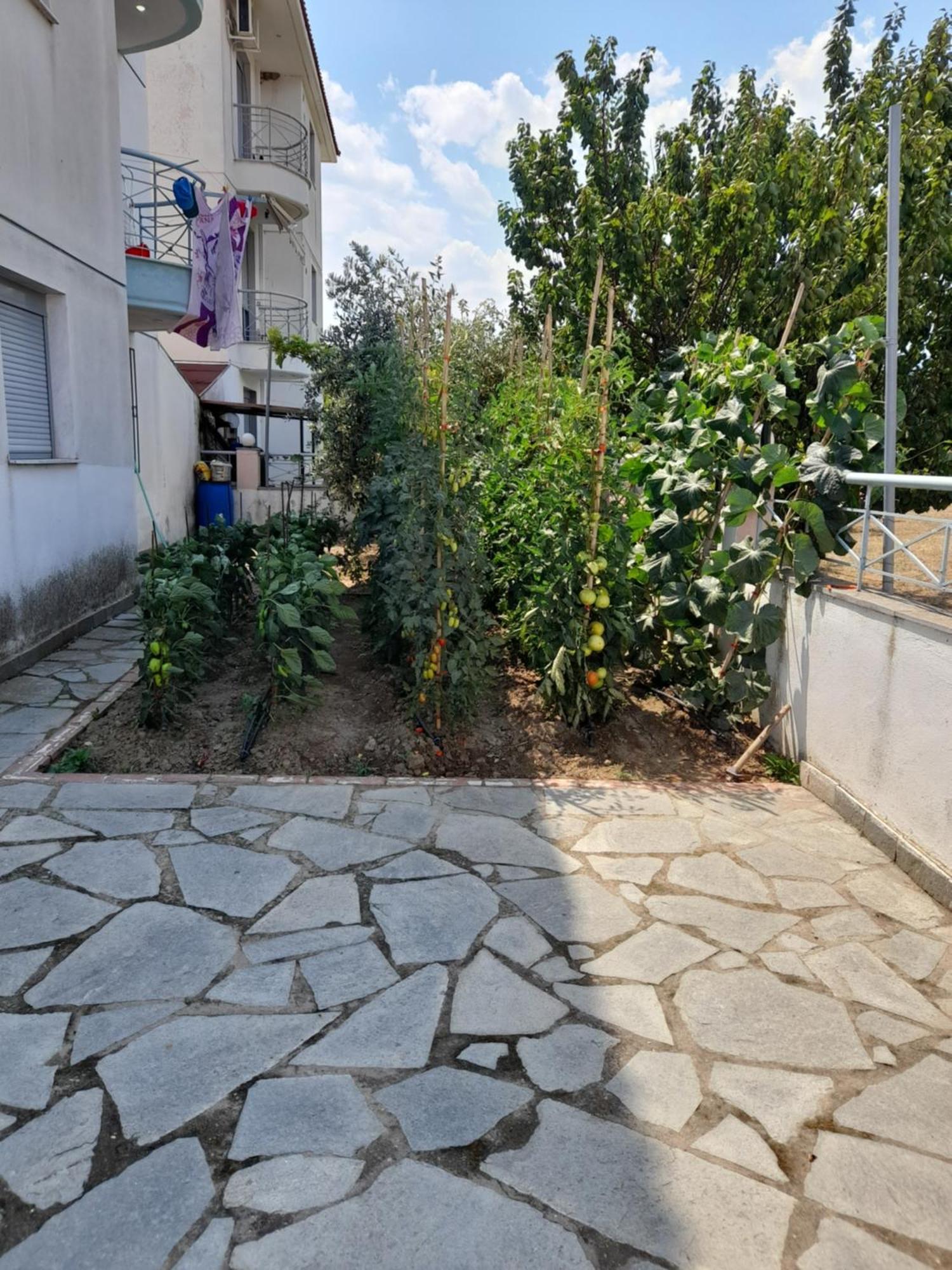 Dominikis Appartment Néa Péramos Екстериор снимка